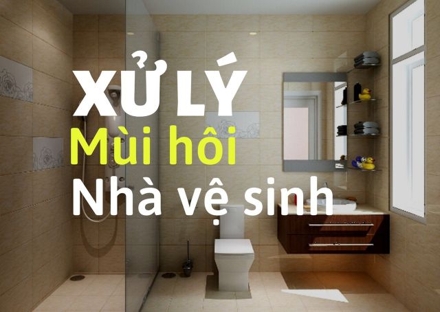 Xử lý mùi hôi nhà vệ sinh